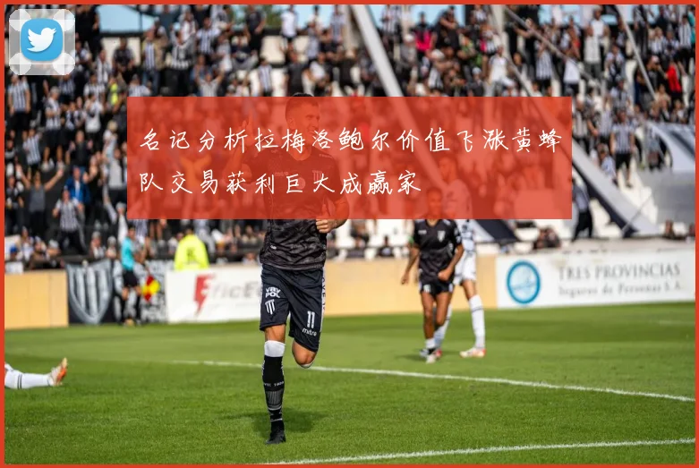 名记分析拉梅洛鲍尔价值飞涨黄蜂队交易获利巨大成赢家
