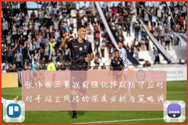 张伟丽卫冕战前强化摔跤防守应对对手站立风格的深度分析与策略调整
