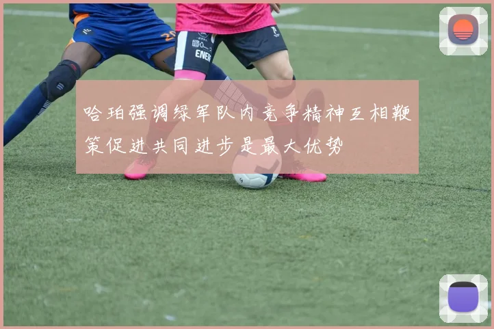 哈珀强调绿军队内竞争精神互相鞭策促进共同进步是最大优势